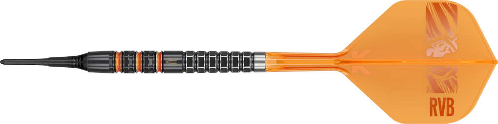 Target freccette morbide Raymond Van Barneveld 95K - 20 g