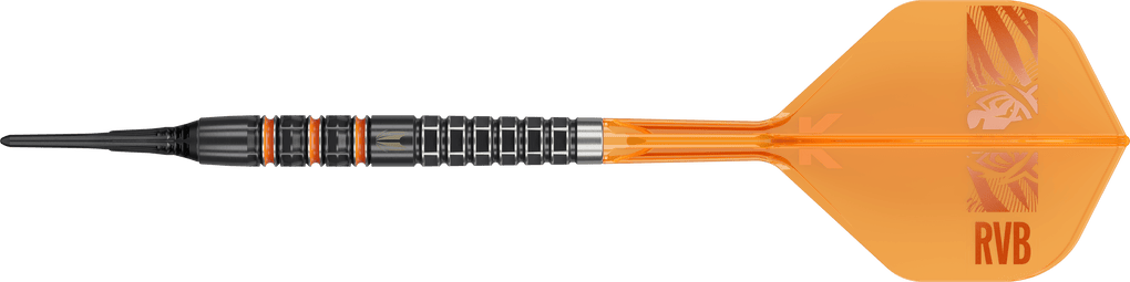 Target freccette morbide Raymond Van Barneveld 95K - 20 g