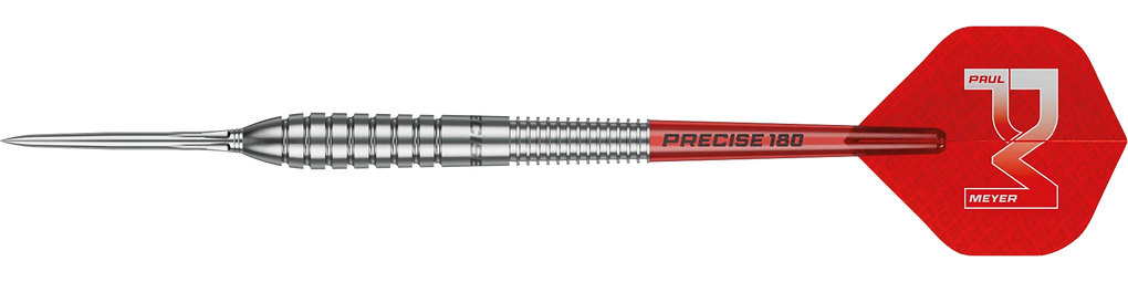 Freccette in acciaio Precise 180 Paul Meyer versione 1