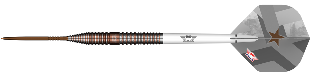 Freccette in acciaio Bulls NL Max Hopp E5 Convertible Point
