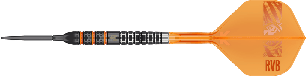 Obiettivo Raymond Van Barneveld 95.000 punti svizzeri Steeldarts