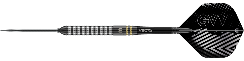 Freccette in acciaio Winmau Gian Van Veen TS Switch Point