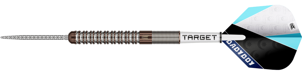 Dardi in acciaio Target Adam Lipscombe Swiss Points - 25 g