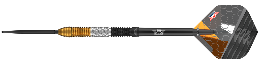 Bulls NL Dirk Van Duijvenbode 95% Convertibile Punti Steeldarts