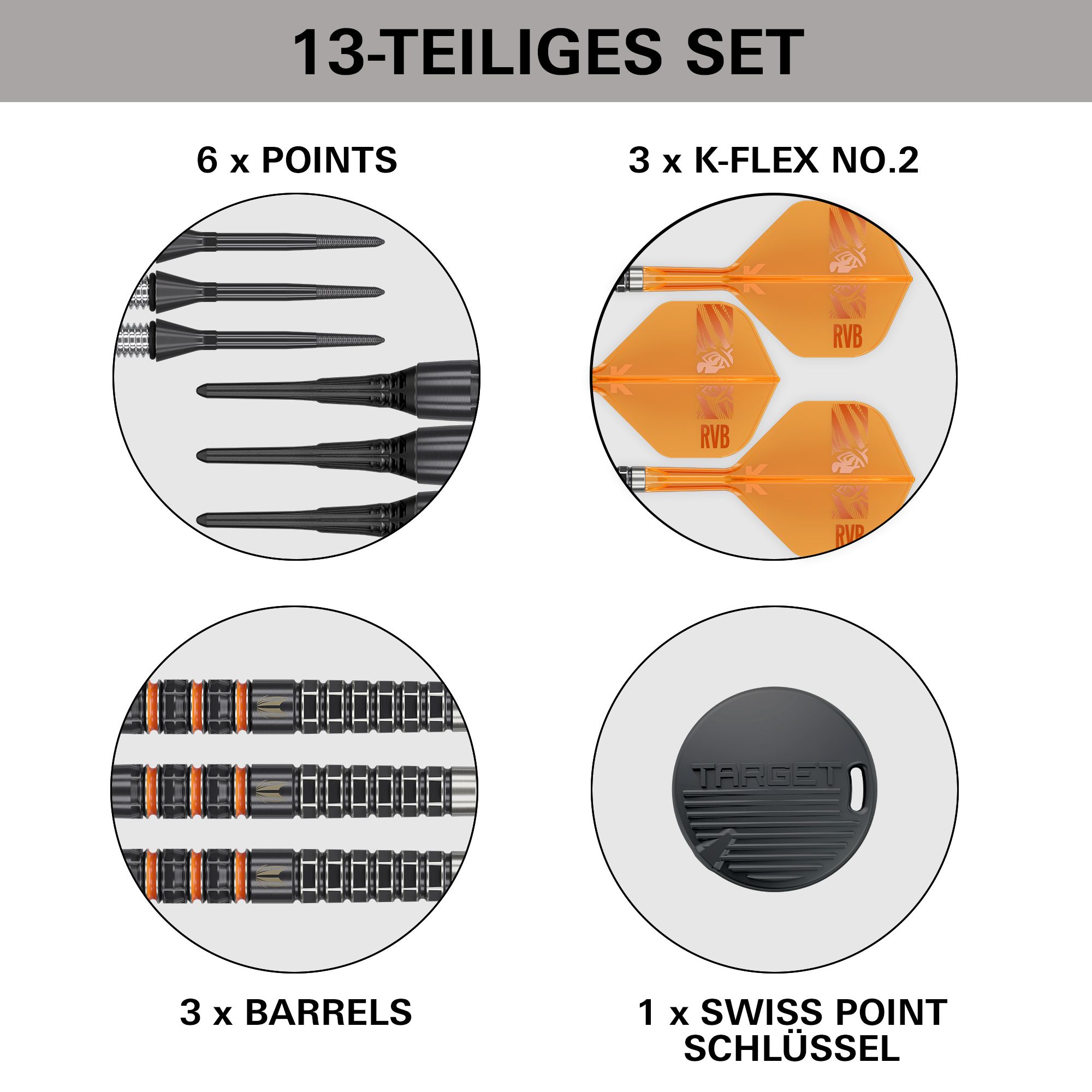 Target freccette morbide Raymond Van Barneveld 95K - 20 g