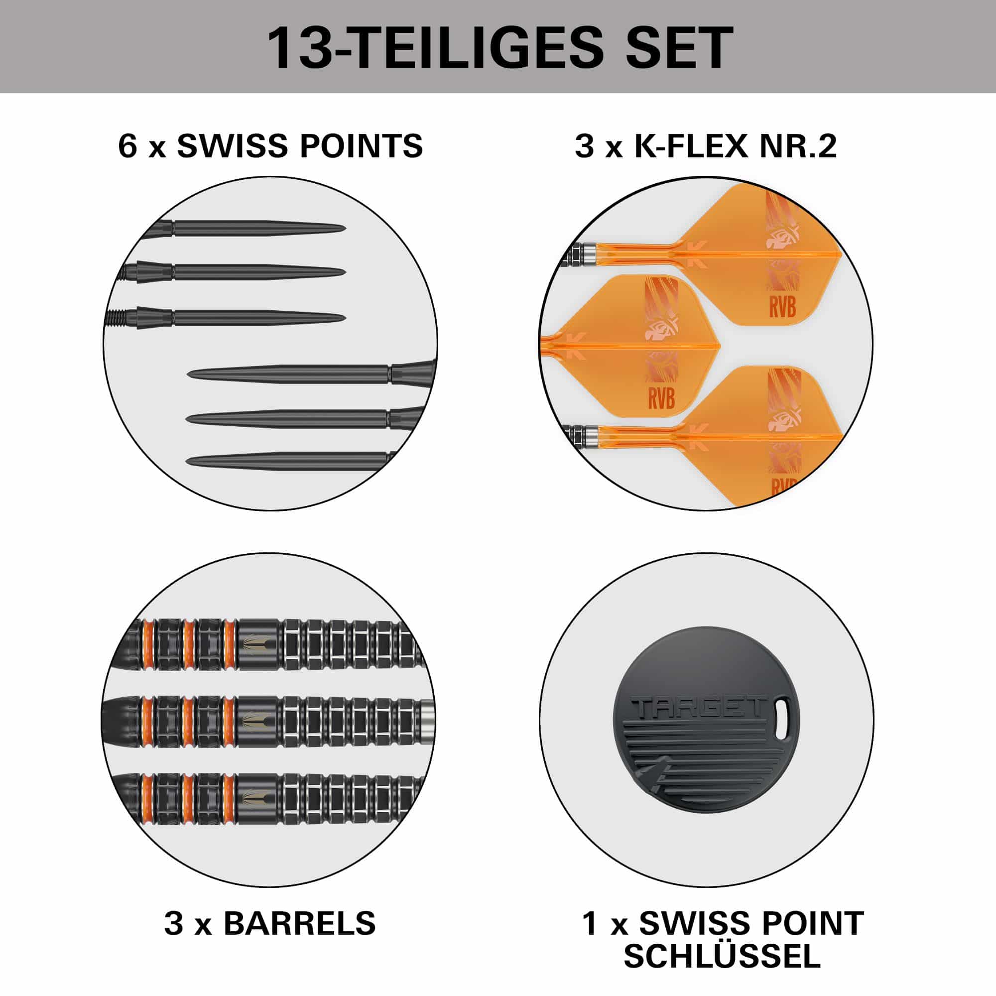 Obiettivo Raymond Van Barneveld 95.000 punti svizzeri Steeldarts Obiettivo Raymond Van Barneveld 95.000 punti svizzeri Steeldarts