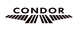 Condor Immagine di Condor