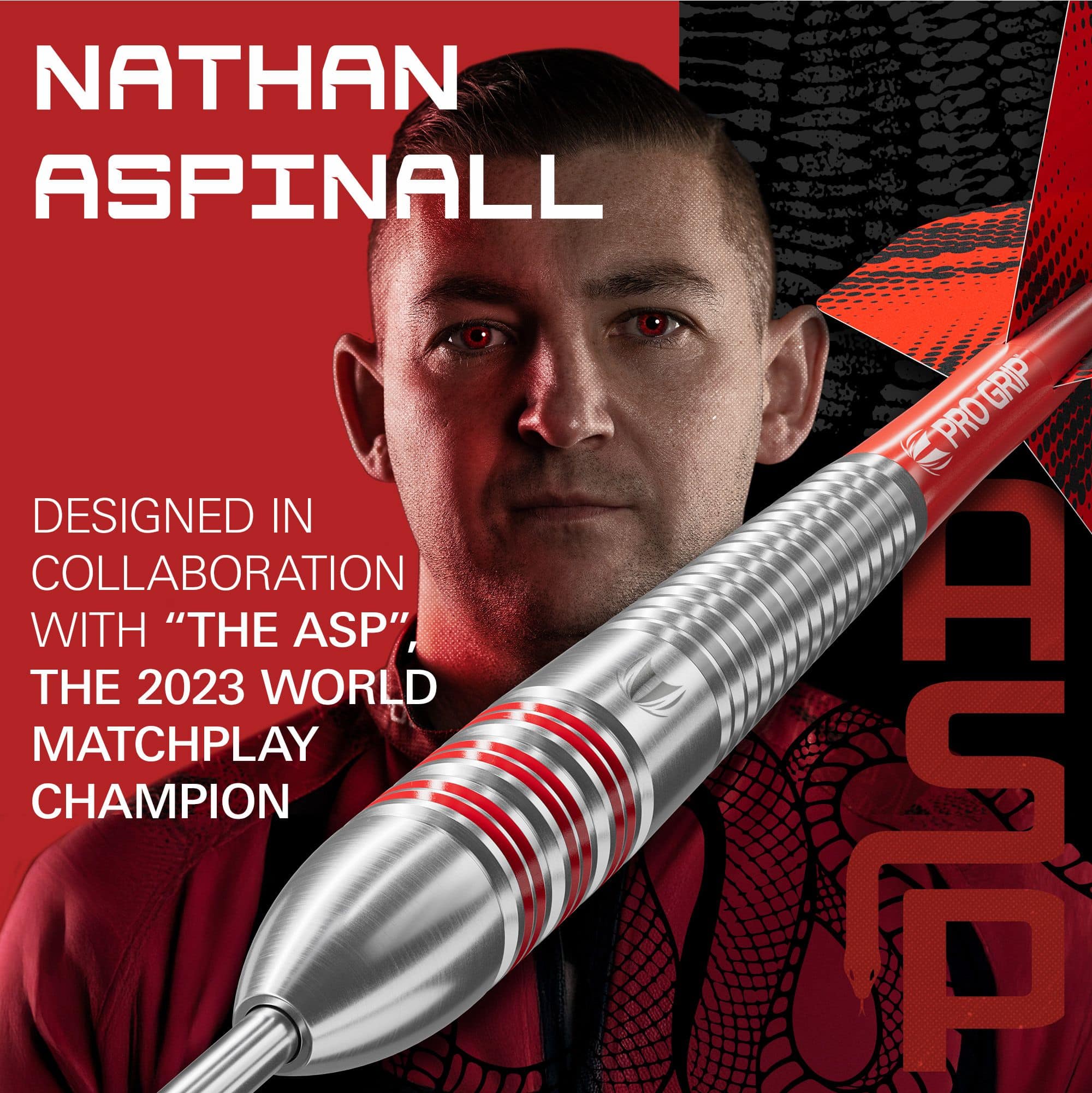 Target Nathan Aspinall freccette in ottone e acciaio - 22 g Abgebildet sind die Target Nathan Aspinall Brass Steeldarts, Gewicht 22g. Dieses Produkt wird speziell für Steeldartspieler angeboten.