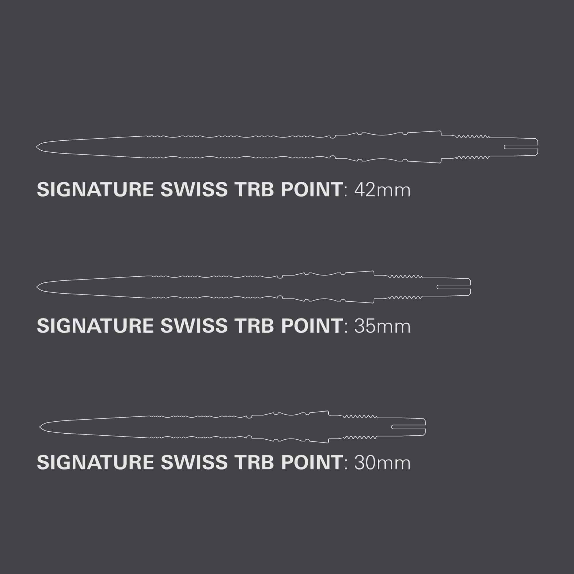 Punte per freccette Target Signature Swiss Point TRB in acciaio - argento Das Foto zeigt die Target Signature Swiss Point TRB Steeldartspitzen in der Farbe Silber. Sie sind ideal für den professionellen Einsatz im Dartsport.