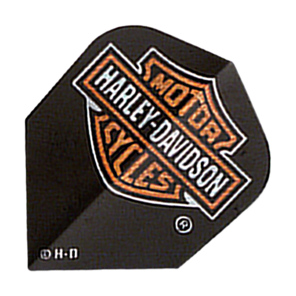 Voli standard Harley-Davidson BS Ologramma n.2