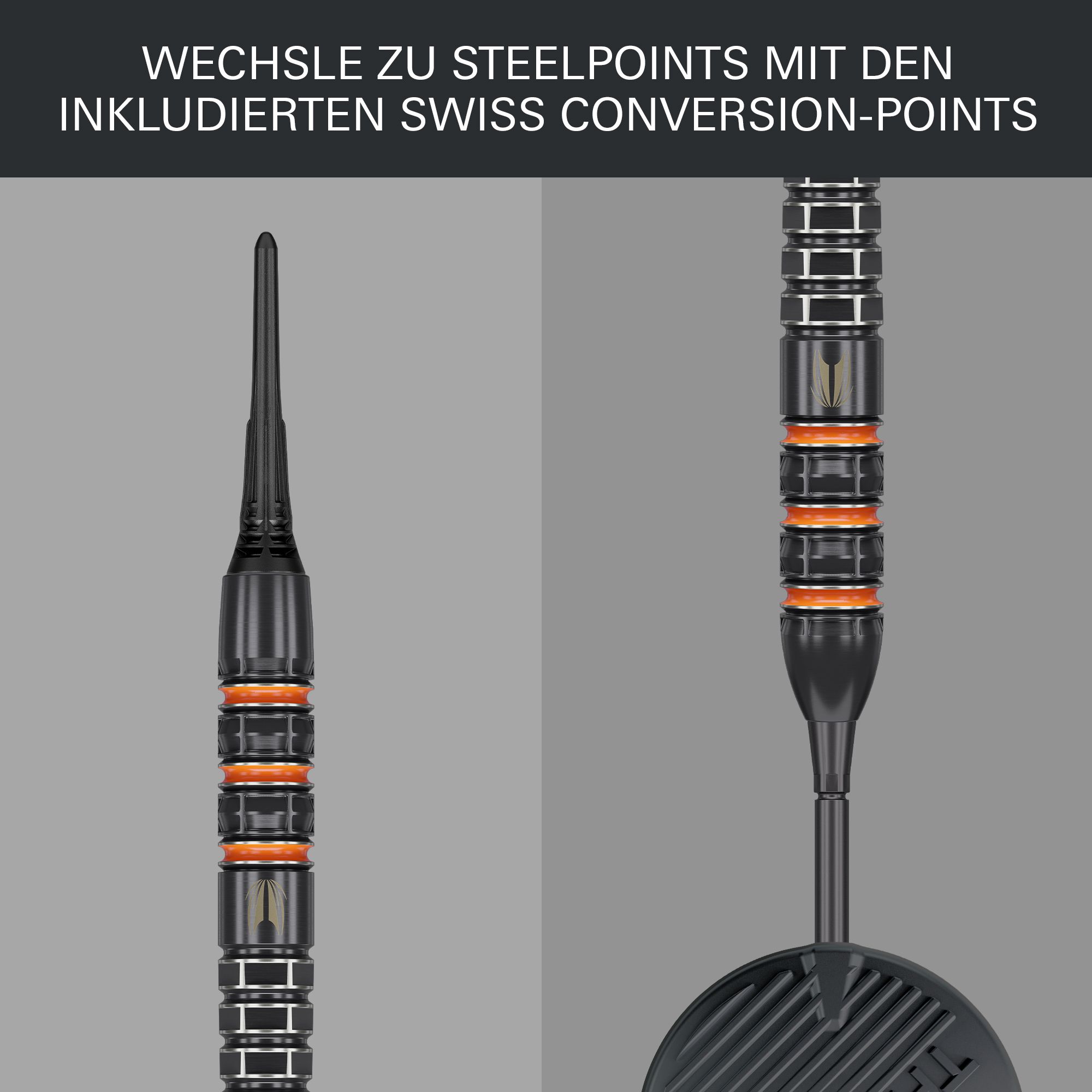Target freccette morbide Raymond Van Barneveld 95K - 20 g