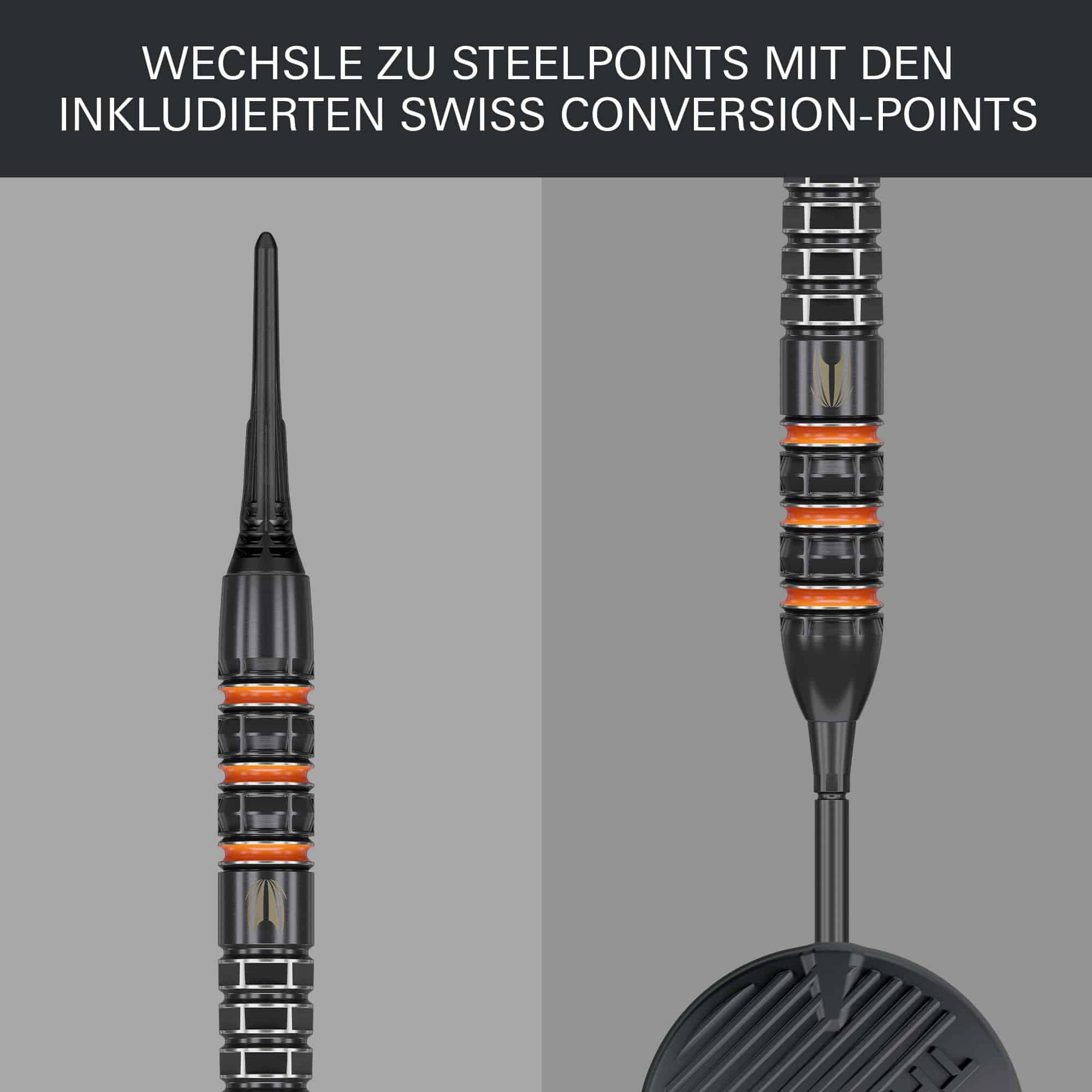 Target freccette morbide Raymond Van Barneveld 95K - 20 g Target freccette morbide Raymond Van Barneveld 95K - 20 g