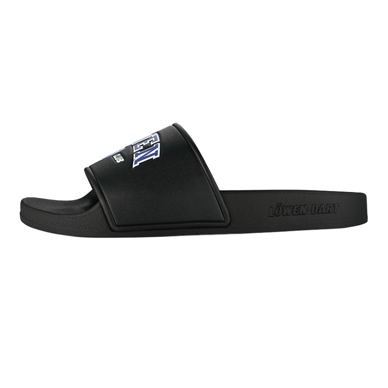 Collezione Löwen DARTIletten Dieses Foto stellt die Löwen Kollektion DARTIletten Schuhe dar. Ideal geeignet für Liebhaber des Dartsports.