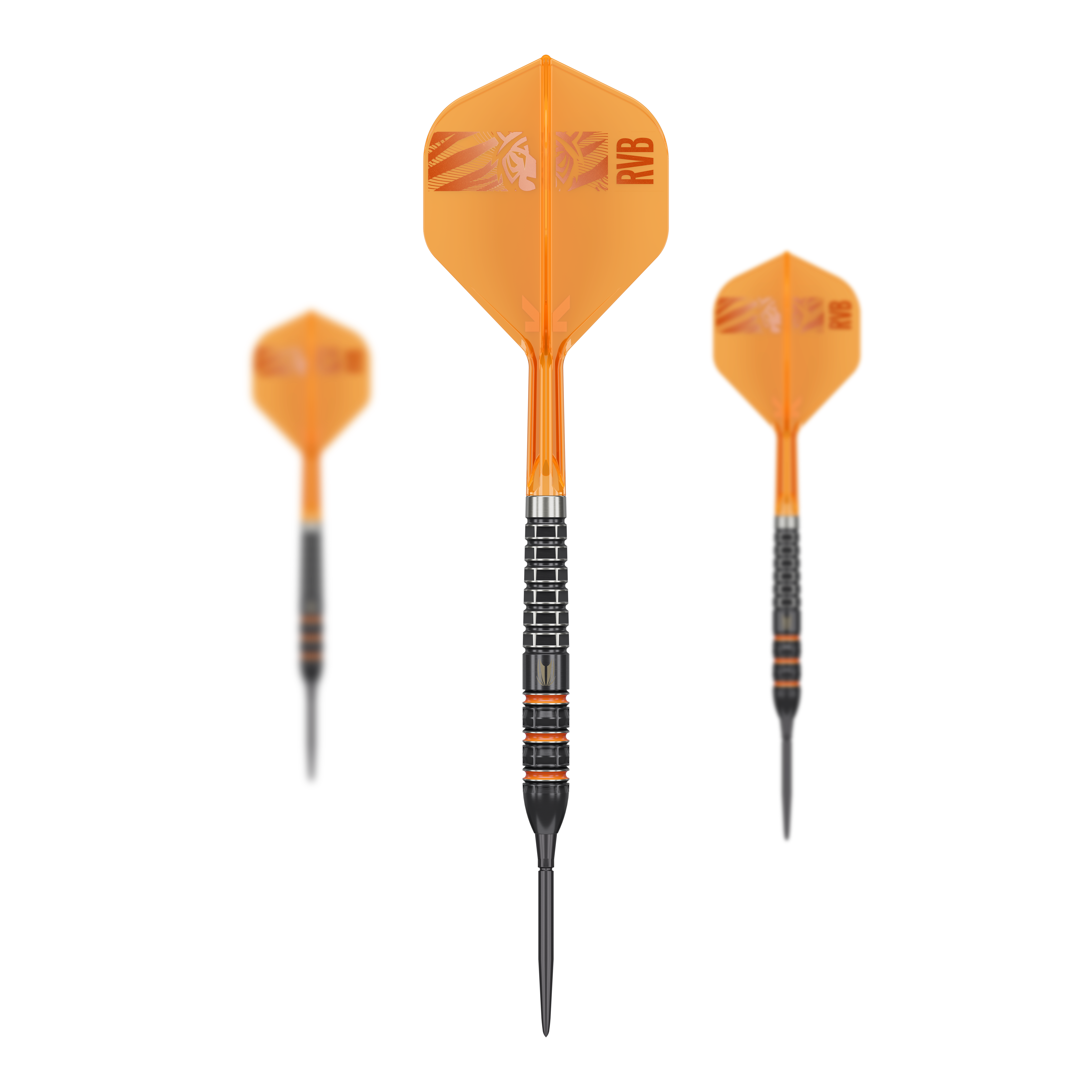 Obiettivo Raymond Van Barneveld 95.000 punti svizzeri Steeldarts