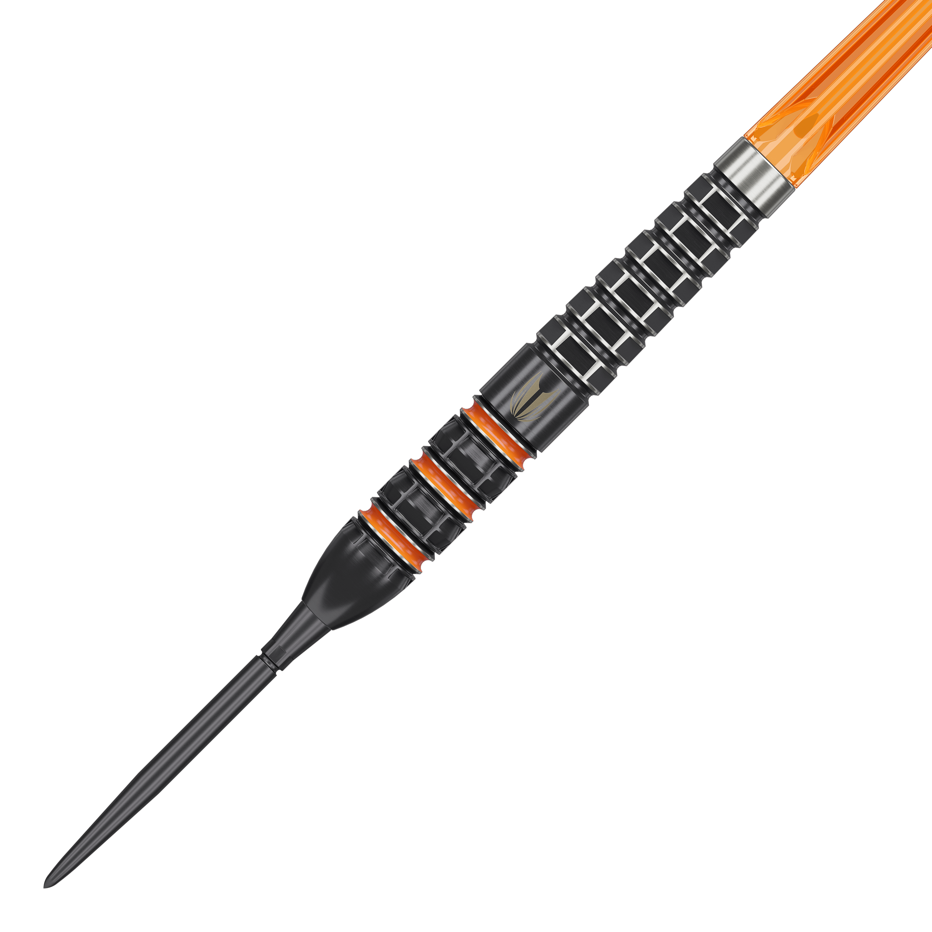 Obiettivo Raymond Van Barneveld 95.000 punti svizzeri Steeldarts
