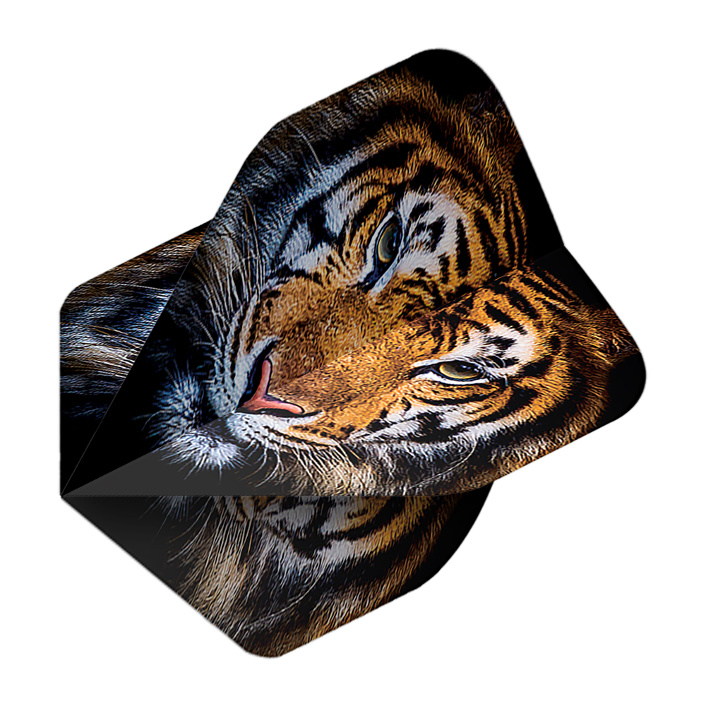 Voli Pentathlon Tiger Das Bild zeigt das Produkt "Pentathlon Tiger No2 Standard Flights". Auf den Flights ist ein realistisches Tigerkopf-Motiv abgebildet.