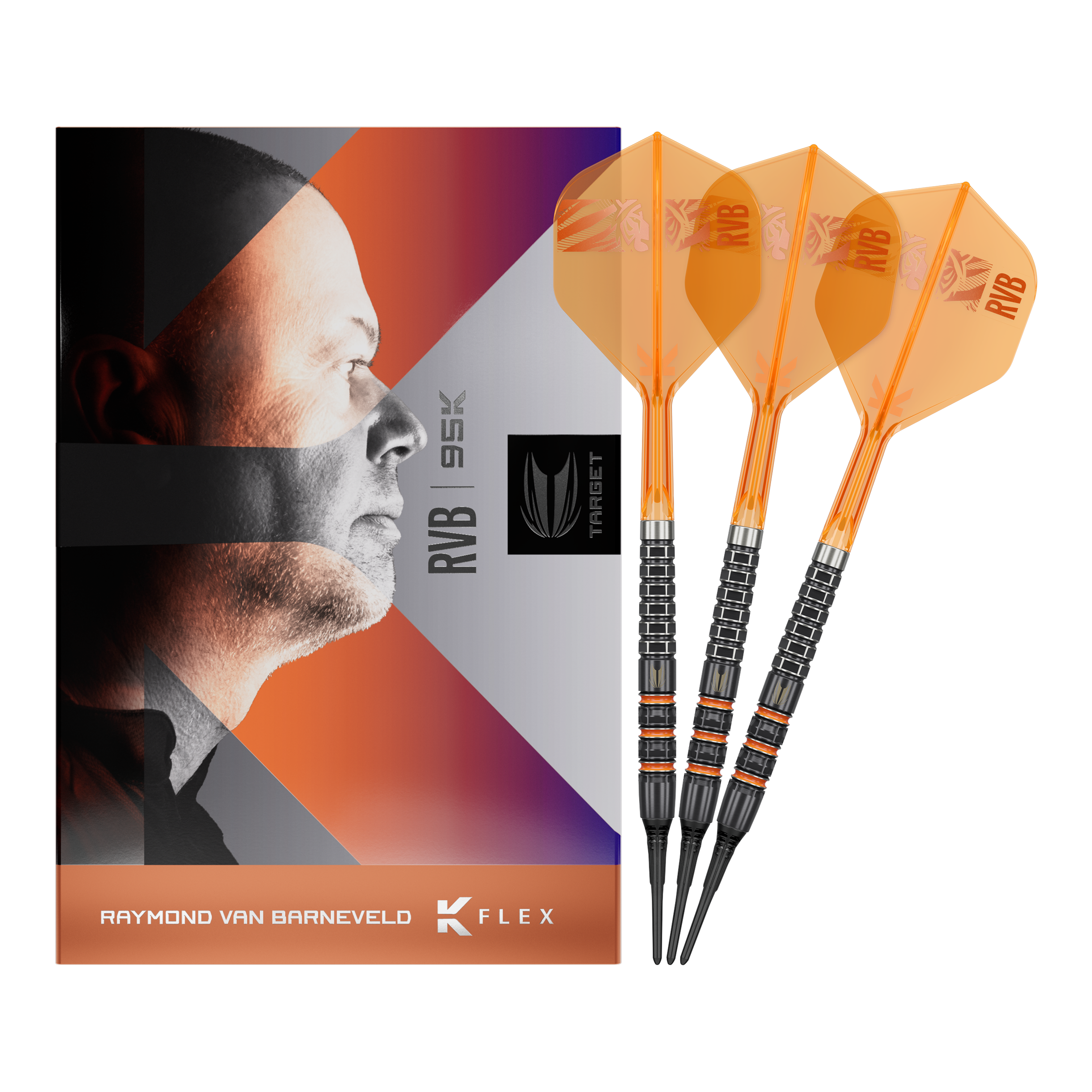 Target freccette morbide Raymond Van Barneveld 95K - 20 g