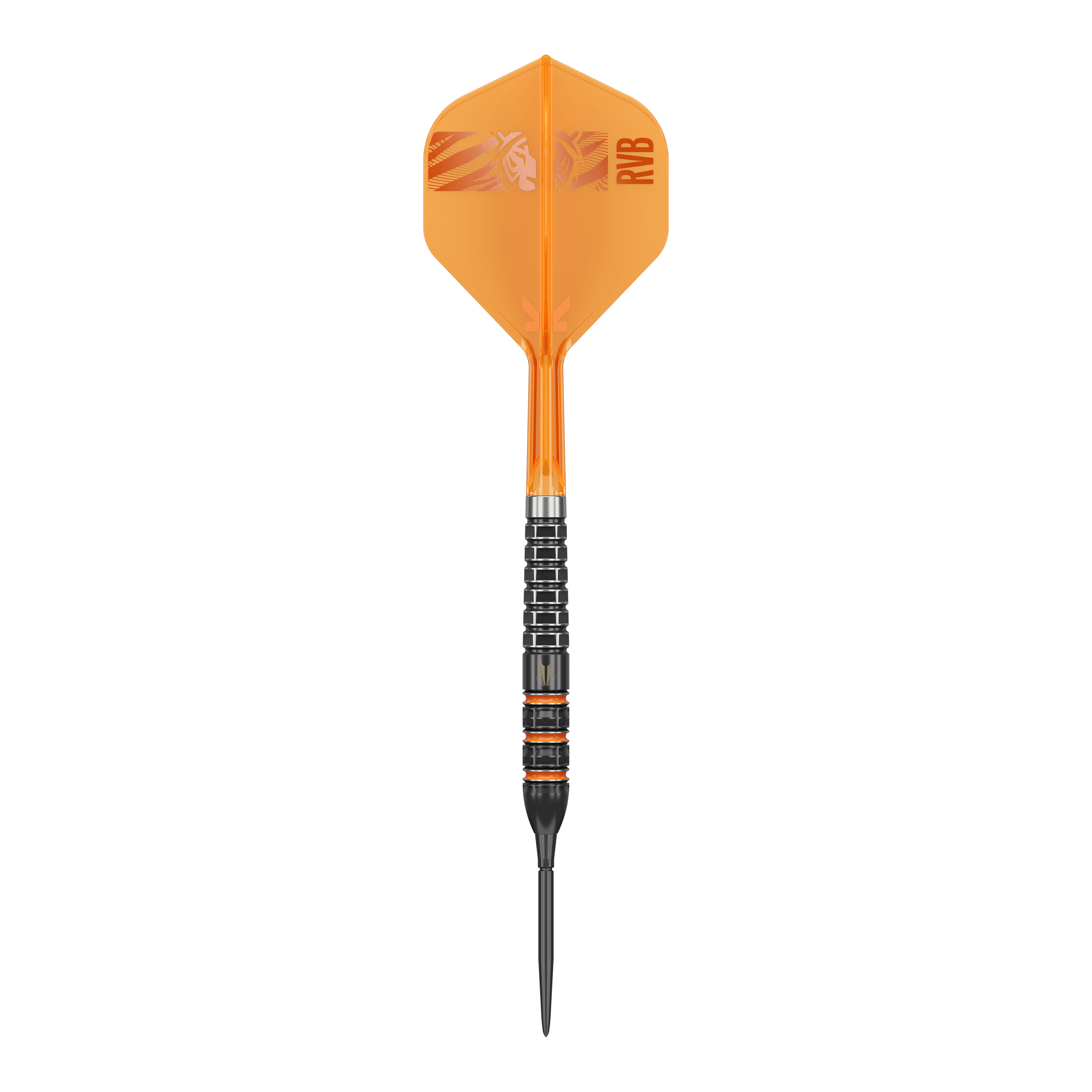 Obiettivo Raymond Van Barneveld 95.000 punti svizzeri Steeldarts