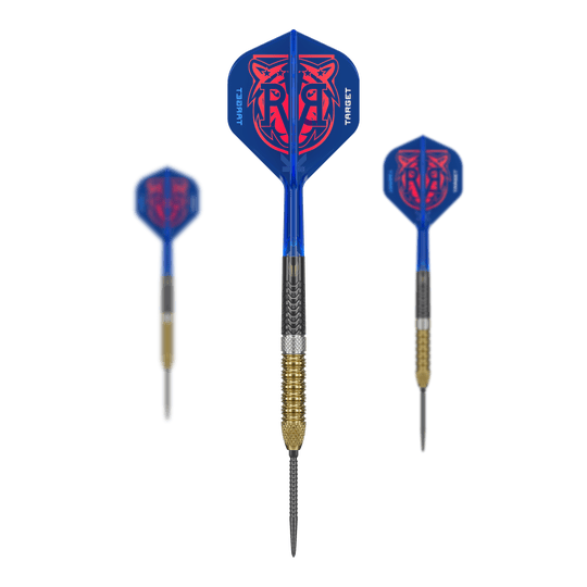 Target freccette in acciaio Raymond Van Barneveld GEN6 Swiss Point Zu sehen sind die Target Raymond Van Barneveld GEN6 Swiss Point Steeldarts. Diese Darts sind speziell für professionelle Ansprüche gefertigt.