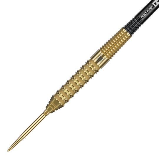 Freccette in acciaio Target Bolide Envy 02 Swiss Point Zu sehen sind Target Bolide Envy 02 Swiss Point Steeldarts. Sie bieten eine elegante Gestaltung und gute Griffigkeit.