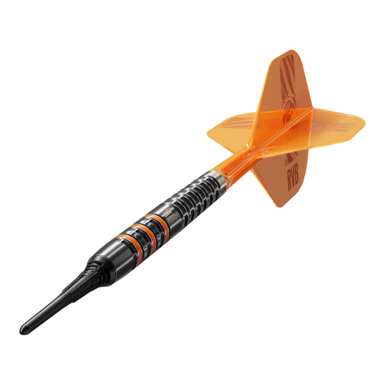 Target freccette morbide Raymond Van Barneveld 95K - 20 g