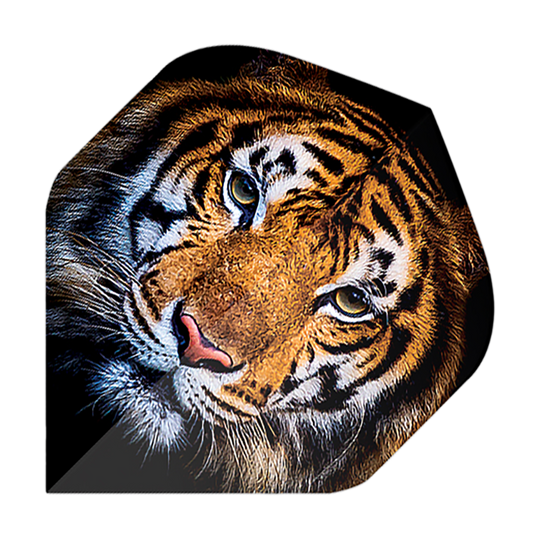 Voli Pentathlon Tiger Das Bild zeigt einen Dartflug mit dem Motiv eines realistisch gezeichneten Tigerkopfes. Es handelt sich um das Produkt "Pentathlon Tiger No2 Standard Flights".