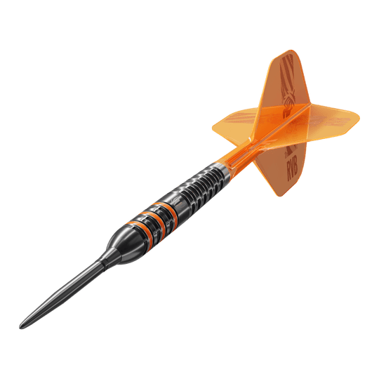Obiettivo Raymond Van Barneveld 95.000 punti svizzeri Steeldarts Obiettivo Raymond Van Barneveld 95.000 punti svizzeri Steeldarts