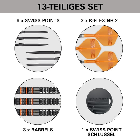 Obiettivo Raymond Van Barneveld 95.000 punti svizzeri Steeldarts