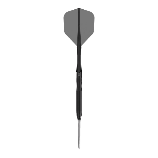 Freccette in acciaio Caliburn Chord C1 - 21,5 g Hier ist der Caliburn Chord C1 Steeldart mit 21,5g zu sehen. Der Dartpfeil ist aus der Nähe fotografiert.