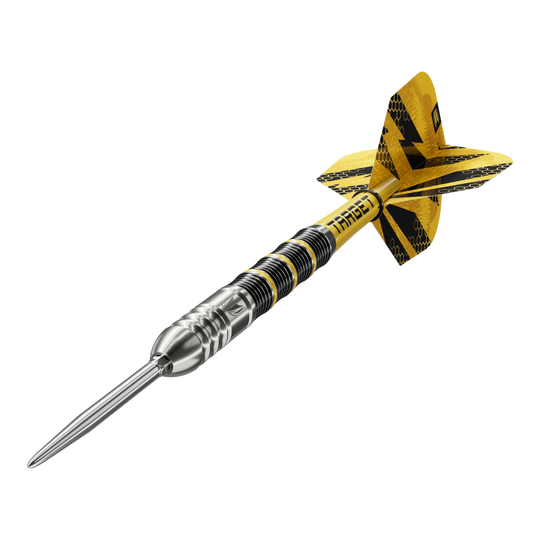Freccette in acciaio Target Buzz 02 Swiss Points Das Bild zeigt die Target Buzz 02 Swiss Points Steeldarts. Die Steeldarts sind aus nächster Nähe aufgenommen.