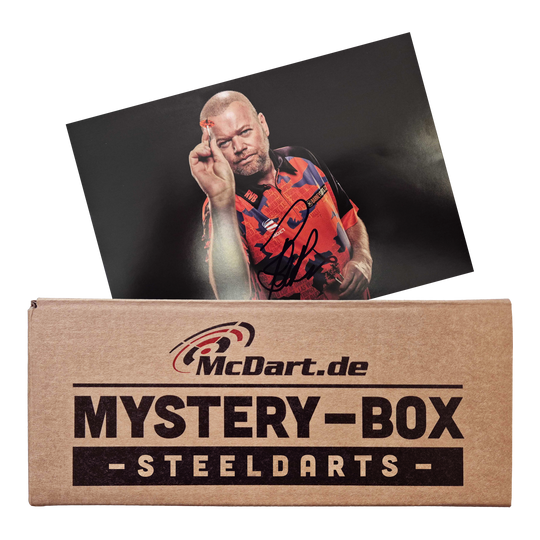 McDart Raymond Van Barneveld Steeldart Fan Box