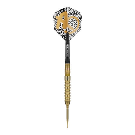 Freccette in acciaio Target Bolide Envy 02 Swiss Point Target Bolide Envy 02 Swiss Point Steeldarts sind professionelle Steeldarts. Das Bild zeigt das Design und die Details dieses Dart-Produkts.