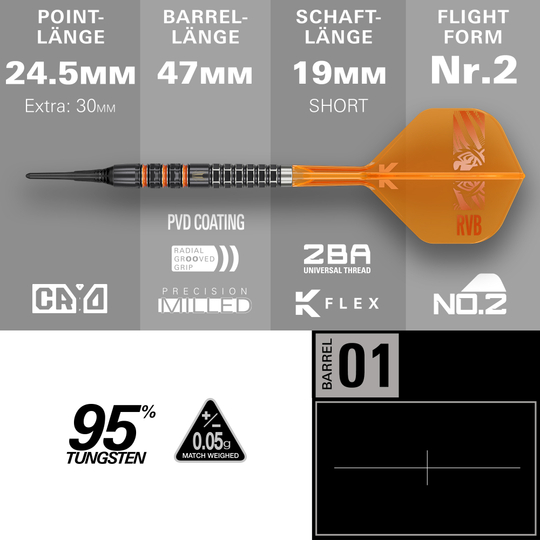 Target freccette morbide Raymond Van Barneveld 95K - 20 g