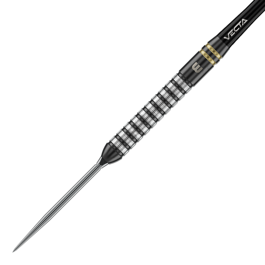 Freccette in acciaio Winmau Gian Van Veen TS Switch Point Das Foto zeigt Winmau Gian Van Veen TS Switch Point Steeldarts. Der Dartpfeil ist detailliert abgebildet.