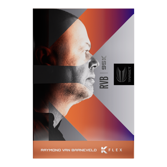 Target freccette morbide Raymond Van Barneveld 95K - 20 g