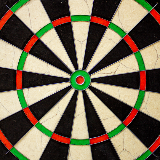 NPQ Steeldartboard Das Bild zeigt das Produkt 'NPQ Steeldartboard'. Es handelt sich um eine klassische Dartscheibe mit schwarzen, weißen, roten und grünen Segmenten.