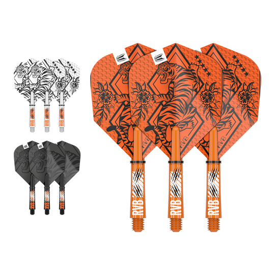 Kit albero di volo dell'inchiostro Target Raymond Van Barneveld Abgebildet ist ein Flight-Shaft-Kit, vermutlich das Raymond Van Barneveld Modell mit 34 mm Länge. Das Produkt ist ein Dart-Zubehör.