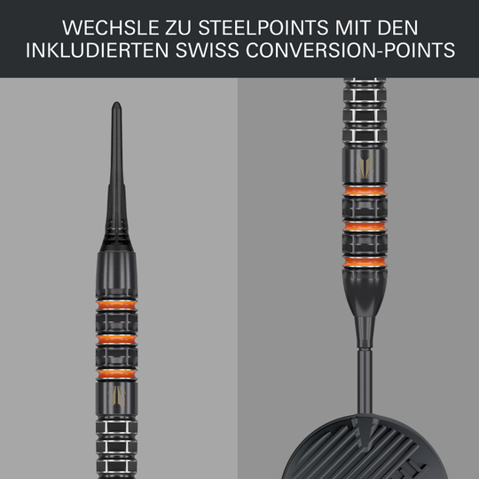 Target freccette morbide Raymond Van Barneveld 95K - 20 g