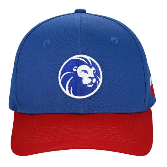 Gezeigt wird eine Cap aus der Löwen Kollektion. Sie ist perfekt für Fans des Dartspiels geeignet.