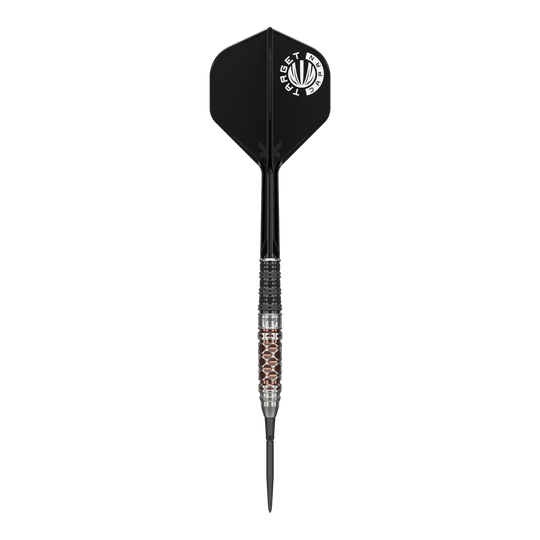 Target Japan Charis GEN6 Swiss Point Steeldarts - 23g sind Steeldarts der Marke Target. Das Bild zeigt die hochwertige Verarbeitung und das Design der Darts.