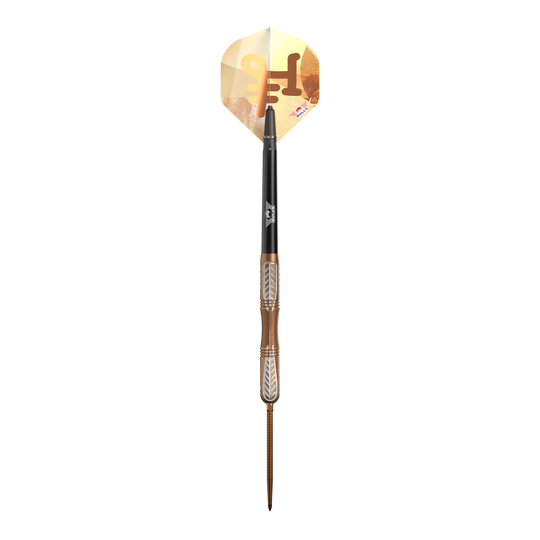 Freccette in acciaio Bulls NL Bronzo True Convertible Point