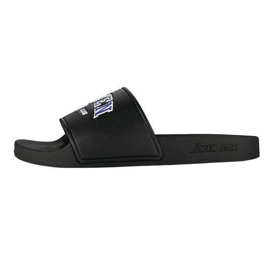 Collezione Löwen DARTIletten Dieses Foto stellt die Löwen Kollektion DARTIletten Schuhe dar. Ideal geeignet für Liebhaber des Dartsports.