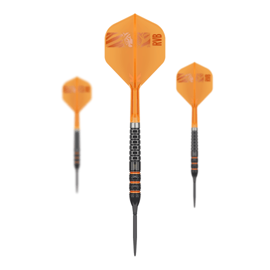 Obiettivo Raymond Van Barneveld 95.000 punti svizzeri Steeldarts