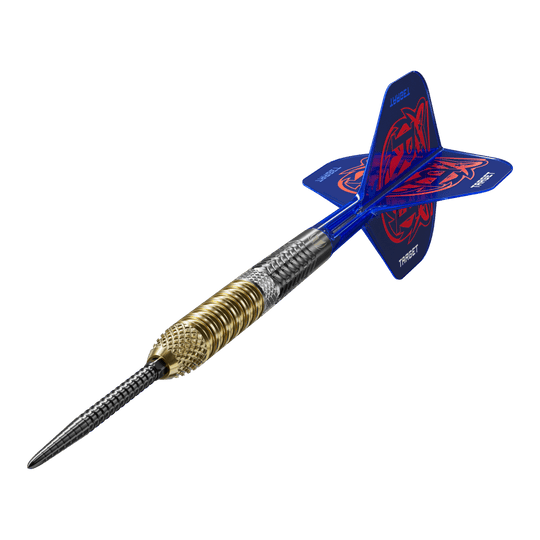 Target freccette in acciaio Raymond Van Barneveld GEN6 Swiss Point Abgebildet sind die Target Raymond Van Barneveld GEN6 Swiss Point Steeldarts. Es handelt sich um hochwertige Steeldarts für Dartspieler.