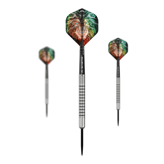 Mission Dominik Grüllich Steeldarts - 23,5g