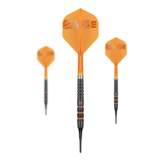 Target freccette morbide Raymond Van Barneveld 95K - 20 g