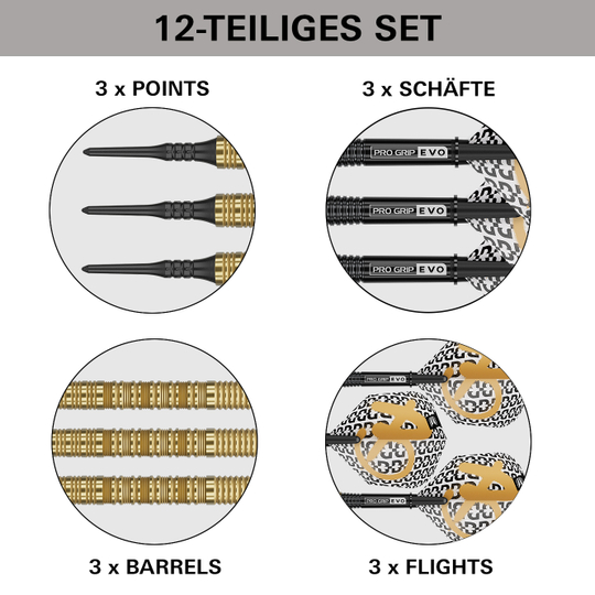 Freccette morbide Target Bolide Envy 10 Das Bild zeigt die Target Bolide Envy 10 Softdarts. Diese Softdarts sind für den elektronischen Dartsport entworfen.