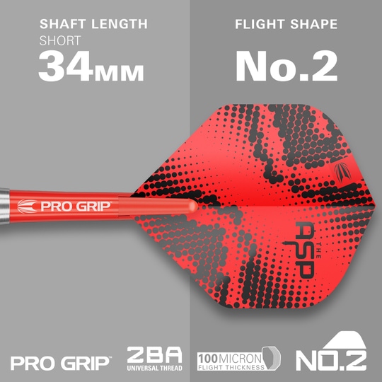 Target Nathan Aspinall freccette in ottone e acciaio - 22 g Das Bild präsentiert die Target Nathan Aspinall Brass Steeldarts, 22g. Dieses Set ist für das Spielen von Steeldarts konzipiert.