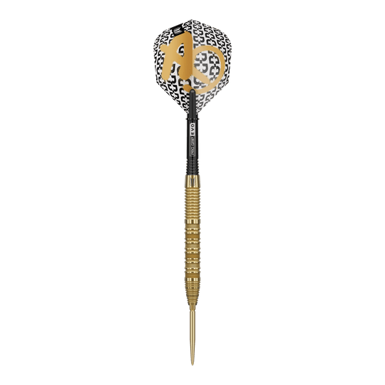 Freccette in acciaio Target Bolide Envy 01 Swiss Point Das Bild zeigt die Target Bolide Envy 01 Swiss Point Steeldarts. Diese Darts sind für anspruchsvolle Dartspieler geeignet.