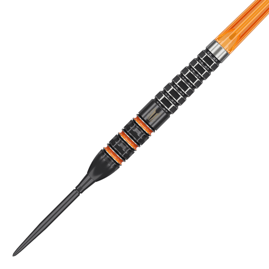 Obiettivo Raymond Van Barneveld 95.000 punti svizzeri Steeldarts
